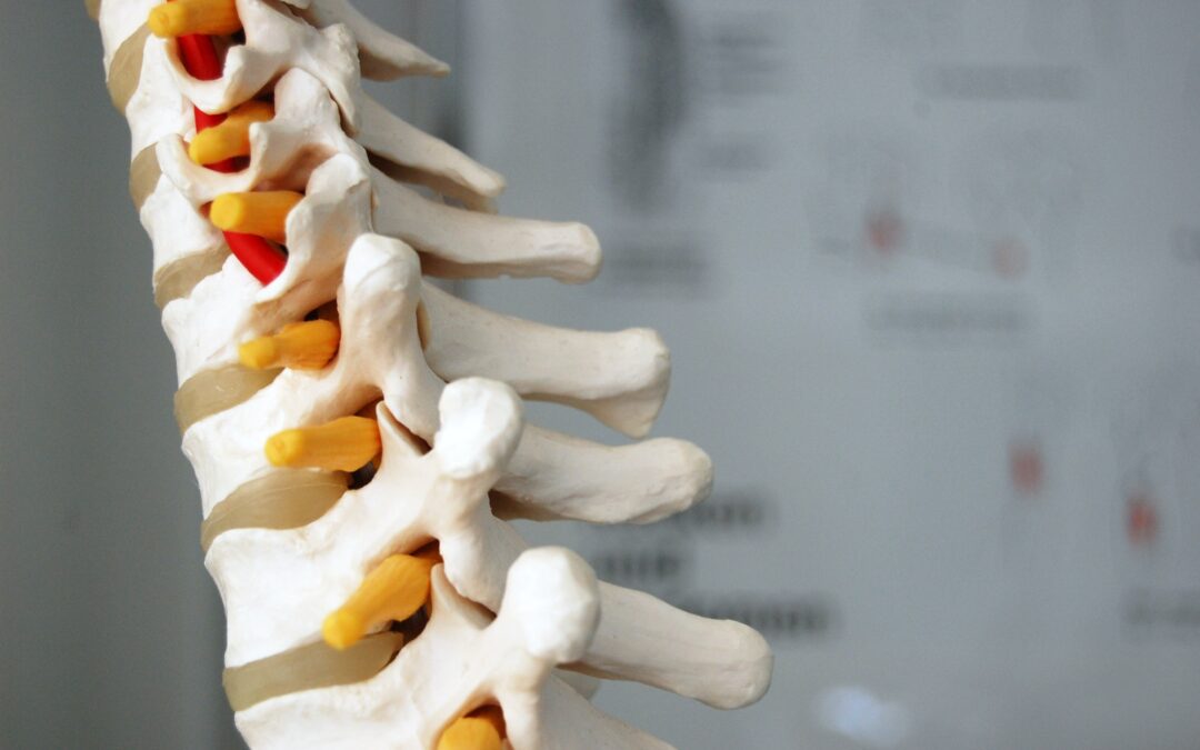 Comprehensive Chiropractic Care for Joint Dysfunction and Neck/Back Pain in Naples and Bonita Springs